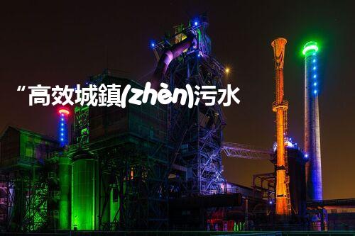 “高效城鎮(zhèn)污水處理流程，守護(hù)碧水藍(lán)天新篇章”